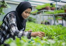 Saudi Arabia environment ministry launches campaign