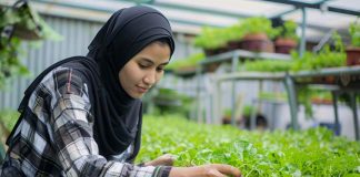 Saudi Arabia environment ministry launches campaign