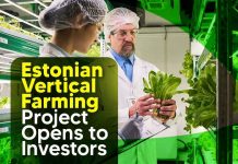 Indoor vertical farming facility demonstrating scalable lettuce production for investors