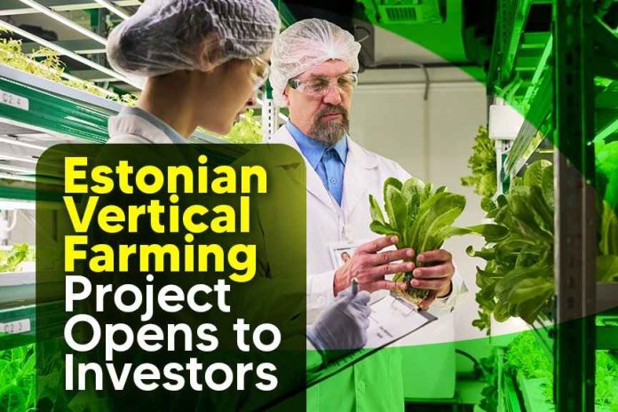 Indoor vertical farming facility demonstrating scalable lettuce production for investors