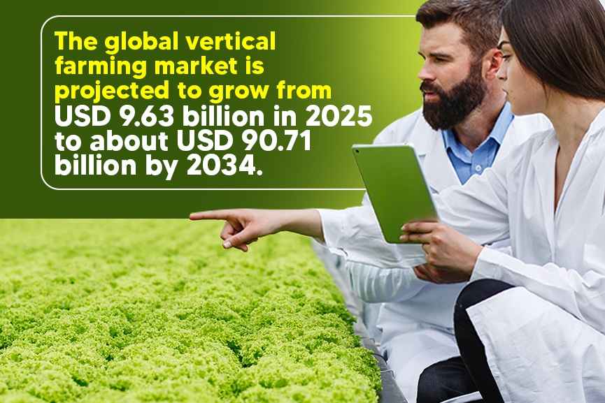 Indoor vertical farming facility with researchers monitoring lettuce production
