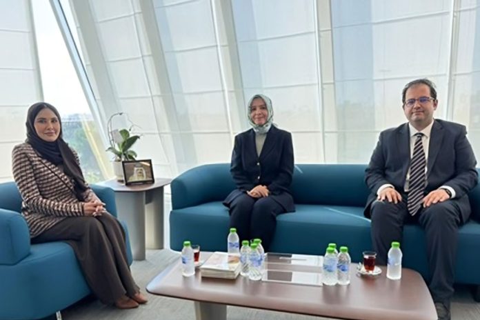 Bahrain and Turkey Transport Relations