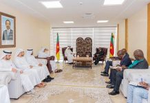 UAE, Cameroon advance trade, investment ties-GCC Business News