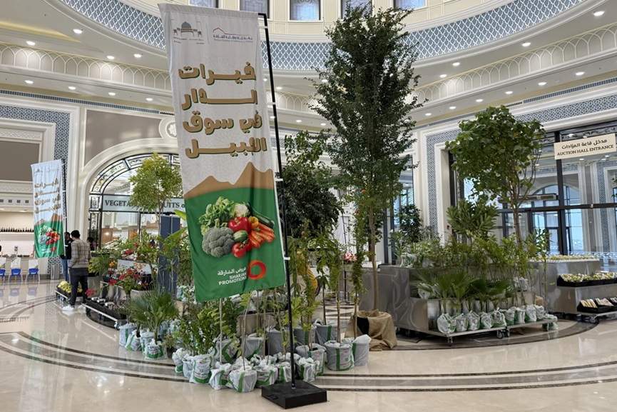 SCCI Sharjah Shopping Promotions 2025-26-GCC Business News
