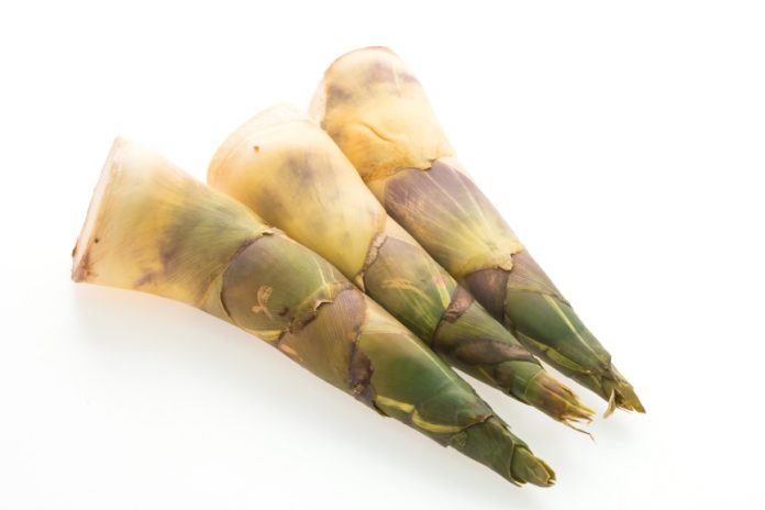 Bamboo shoot nutritional value-GCC Business News