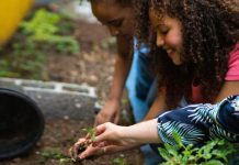 First Abu Dhabi Bank Misr launches Green school Initiative - GCC Business News