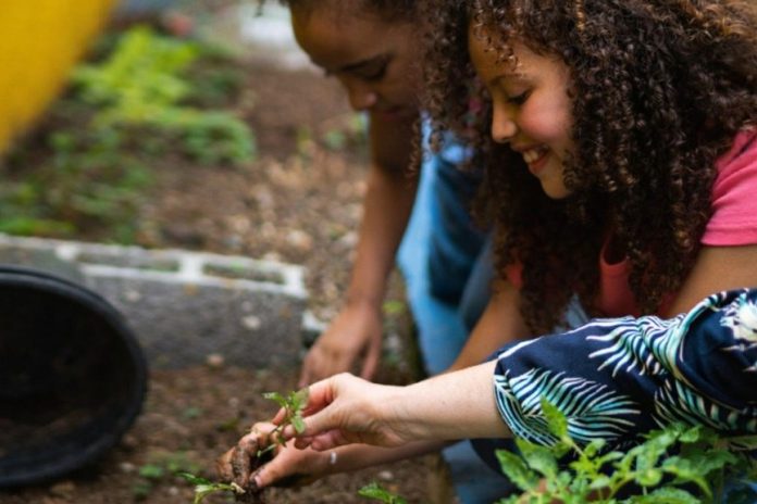 First Abu Dhabi Bank Misr launches Green school Initiative - GCC Business News