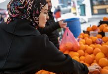 Bahrain Agricultural Import Permit e-service-GCC Business News