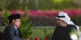 UAE President-Indonesian President meeting