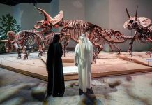Abu Dhabi deepens cultural investment to boost tourism Abu Dhabi deepens cultural investment to boost tourism-GCC Business News