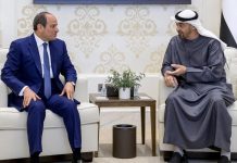 UAE and Egypt meeting
