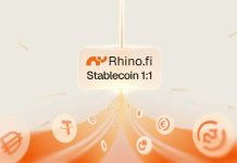 Rhino.fi launches Stablecoin 1:1 for predictable USD payments-GCC Business News