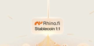 Rhino.fi launches Stablecoin 1:1 for predictable USD payments-GCC Business News