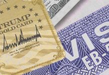 Gold Card Visa vs EB-5