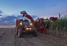 Global food prices rises as energy costs surge; FAO Global food prices rises as energy costs surge-GCC Business News