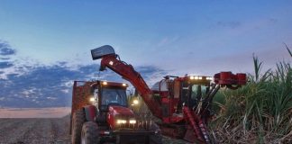Global food prices rises as energy costs surge; FAO Global food prices rises as energy costs surge-GCC Business News