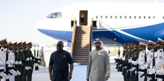UAE President hosts DRC President