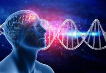 Abu Dhabi achieves brain stem cell research breakthrough Abu Dhabi achieves brain stem cell research breakthrough-GCC Business News