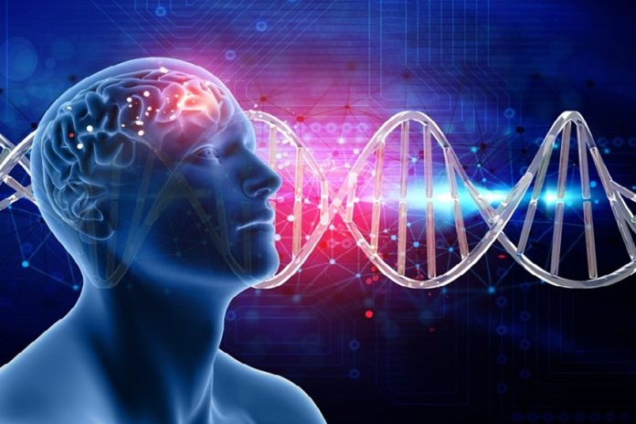 Abu Dhabi achieves brain stem cell research breakthrough-GCC Business News Abu Dhabi achieves brain stem cell research breakthrough-GCC Business News