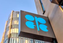 OPEC+ countries adjust oil output