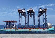 Noatum Ports advances Safaga Terminal with crane delivery-GCC Business News