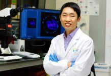 KAUST advances stem cell research with new embryo models KAUST Stem Cell Research