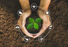 Saudi Arabia backs ‘Green Pakistan’ agriculture initiative Saudi Arabia backs 'Green Pakistan' agriculture initiative-GCC Business News