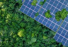 FAB showcases green finance progress on Earth Day 2026