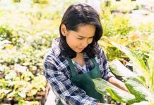 ‘Young Farmer Seal’ initiative launched to boost youth in agriculture Young Farmer Seal initiative in UAE
