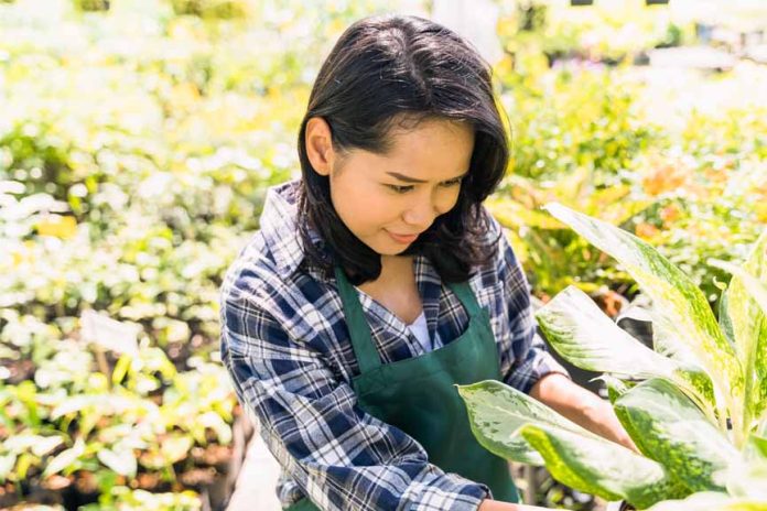 Young Farmer Seal initiative in UAE Young Farmer Seal initiative in UAE