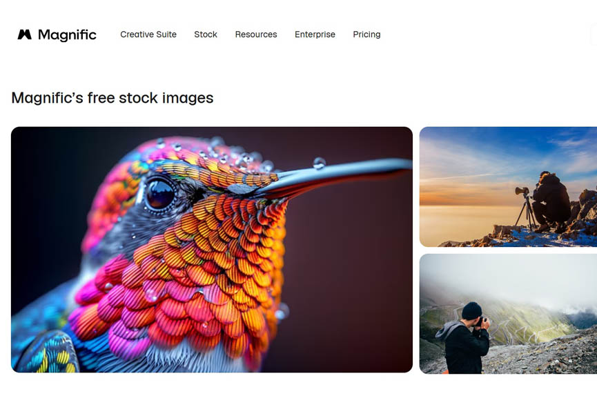Freepik shift to magnific