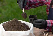 Saudi Arabia and India discuss boosting ties in fertilizer sector Saudi Arabia-India discuss fertilizer sector cooperation