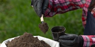 Saudi Arabia-India discuss fertilizer sector cooperation