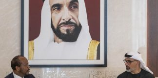 Abu Dhabi Crown Prince welcomes King of Eswatini