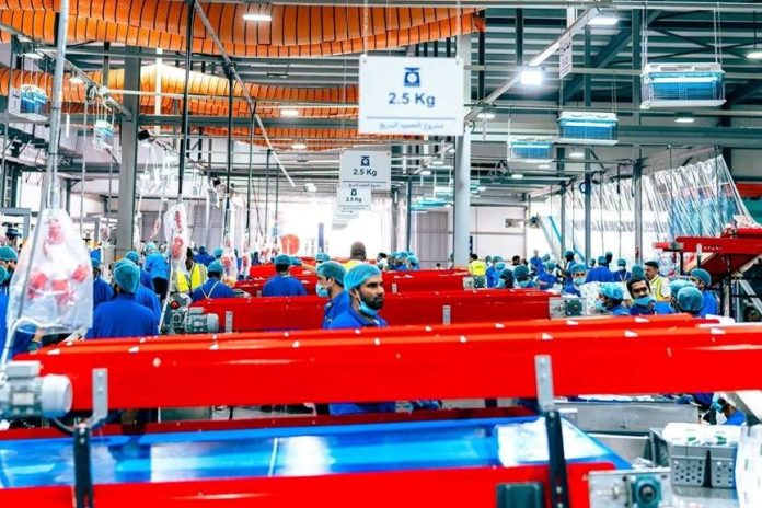 Saudi's Hady and Adahi Project sets benchmark in food management-GCC Business News Saudi's Hady and Adahi Project sets benchmark in food management-GCC Business News