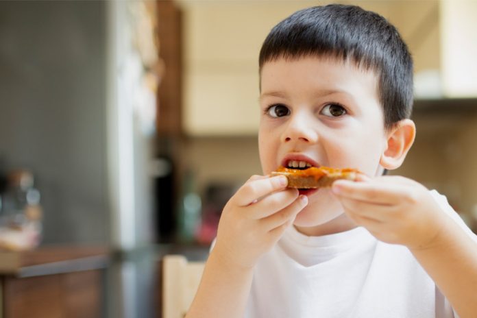 UCC Study Warns Early Unhealthy Diets May Alter Brain Function UCC Study Warns Early Unhealthy Food Diets May Alter Brain Function