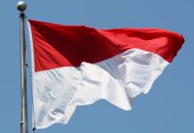 Indonesia to build 100 GW solar power plant project