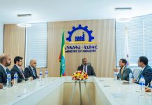 Dubai Chambers, Ethiopia strengthen trade, investment GCC Business News