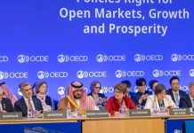 Saudi highlights diversification efforts at OECD meeting in Paris-GCC Business News