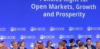 Saudi highlights diversification efforts at OECD meeting in Paris-GCC Business News
