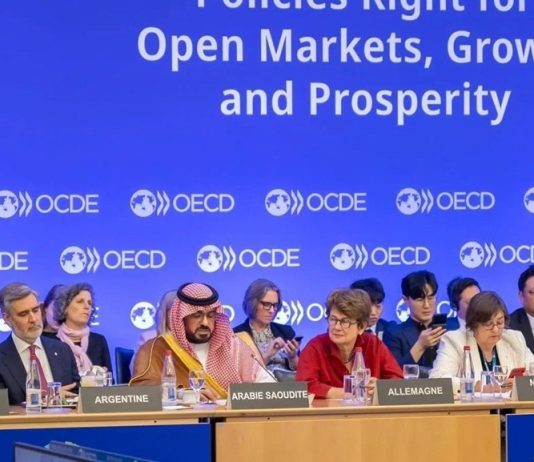 Saudi highlights diversification efforts at OECD meeting in Paris-GCC Business News