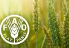 Saudi Arabia, FAO strengthen ecosystem restoration efforts Saudi Arabia, FAO strengthen ecosystem restoration efforts-GCC Business News