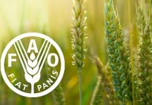 Saudi Arabia, FAO strengthen ecosystem restoration efforts Saudi Arabia, FAO strengthen ecosystem restoration efforts-GCC Business News