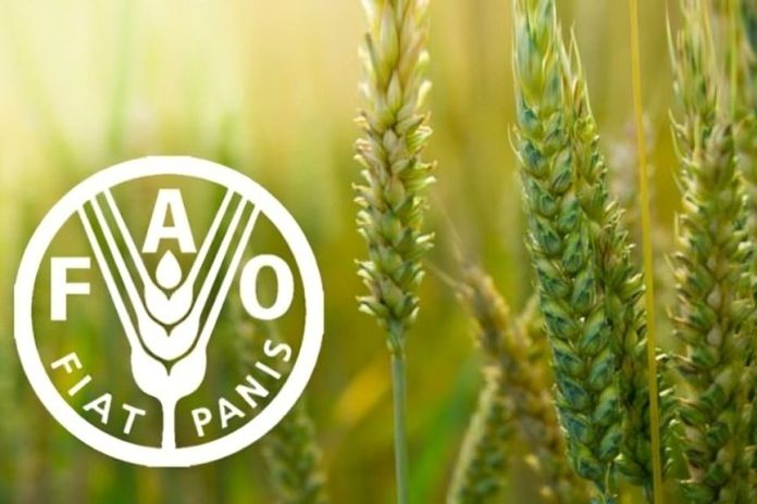 Saudi Arabia, FAO strengthen ecosystem restoration efforts-GCC Business News Saudi Arabia, FAO strengthen ecosystem restoration efforts-GCC Business News
