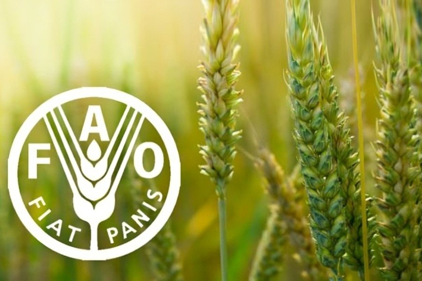 Saudi Arabia, FAO strengthen ecosystem restoration efforts