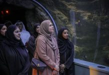 Sharjah EPAA launches Sustainable Sea initiative