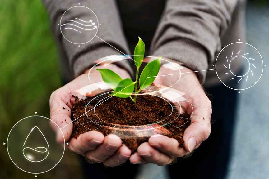 Organic LinkedIn Growth symbolized by a growing plant representing sustainable audience growth and engagement.