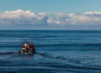 World Hydrography Day 2026: Spotlighting future of ocean data World Hydrography Day 2026--GCC Business News