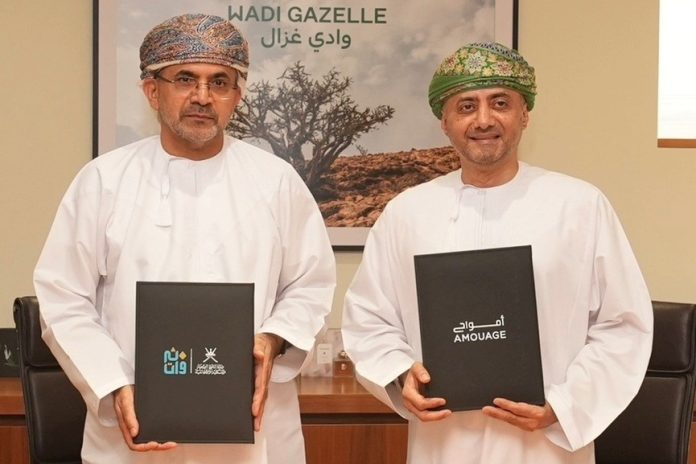 Oman agreement for Frankincense harvesting-GCC Business News Oman agreement for Frankincense harvesting-GCC Business News