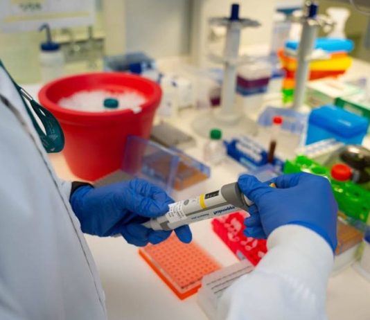 Sidra Medicine Microbiome Service